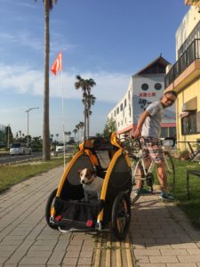 関西有数のサイクリングの聖地、淡路島。愛犬と一緒に楽しんでみては?